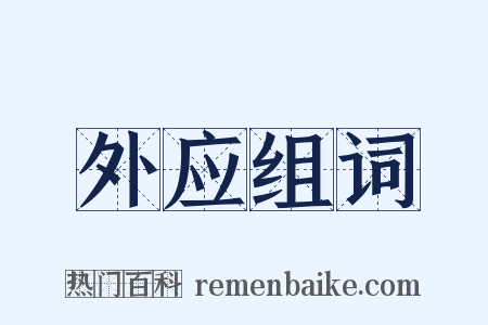外应组词是什么意思的图片